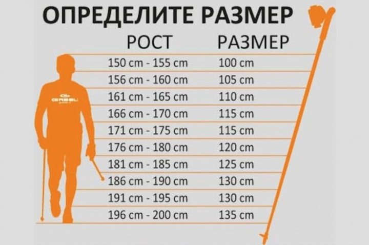 Трость по росту таблица