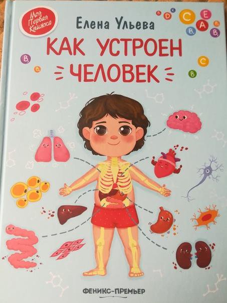 Устрой человек. Как устроен человек. Как устроен человек книга для детей. Елена Ульева тело человека. Картинку книжка как устроен человек.