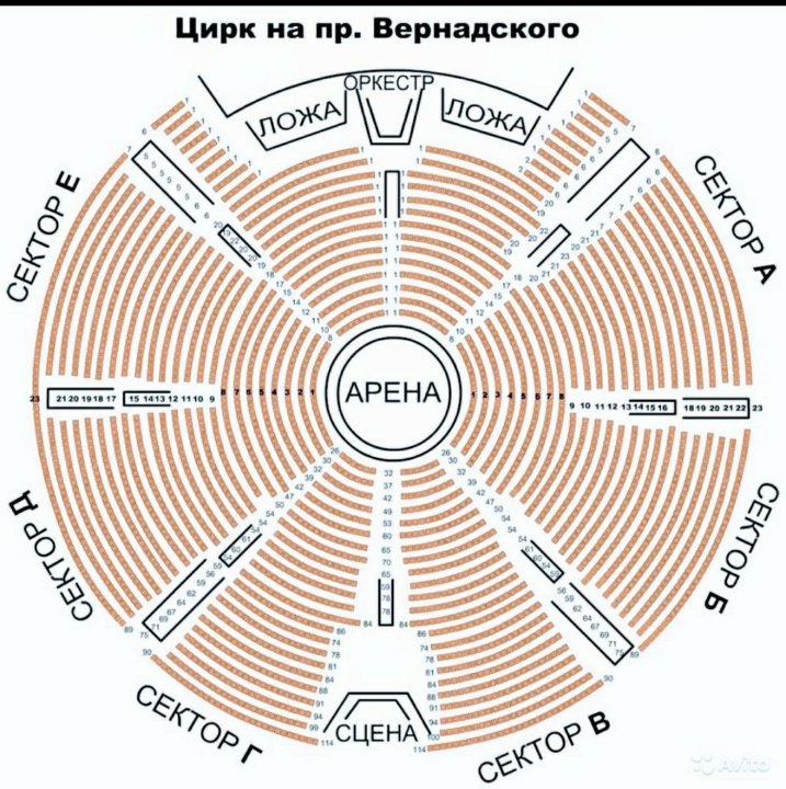 Схема цирка владивосток