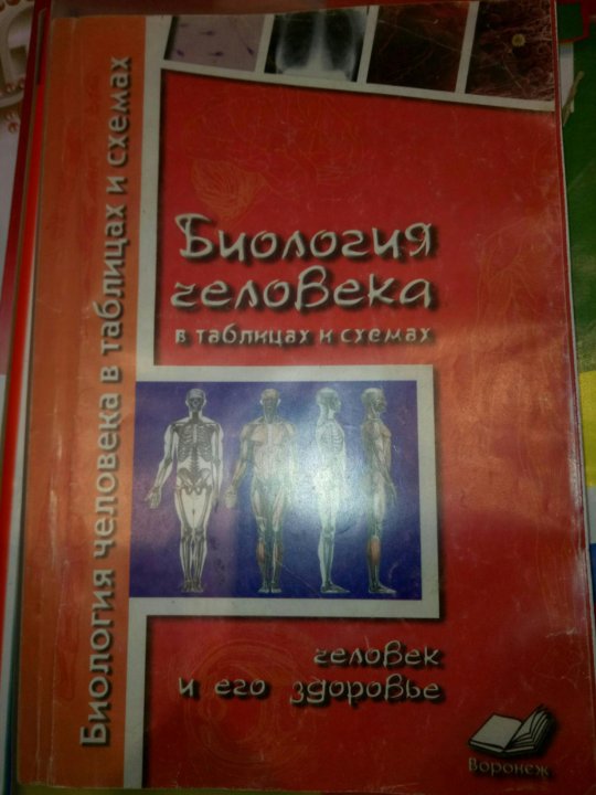 Биология человека в таблицах рисунках и схемах резанова читать