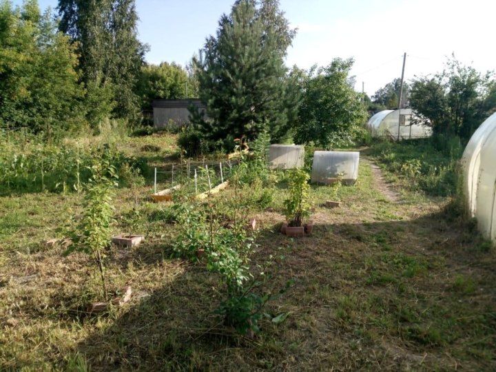 Садовое общество аргинское. Садоводческое общество волгарь. Снт умелый строитель новосибирск. Садовое товарищество труд. Садовое общество дружба макеевка.