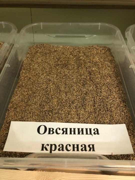 Семена газонных и луговых трав. Травосмеси. – купить в Долгопрудном ...