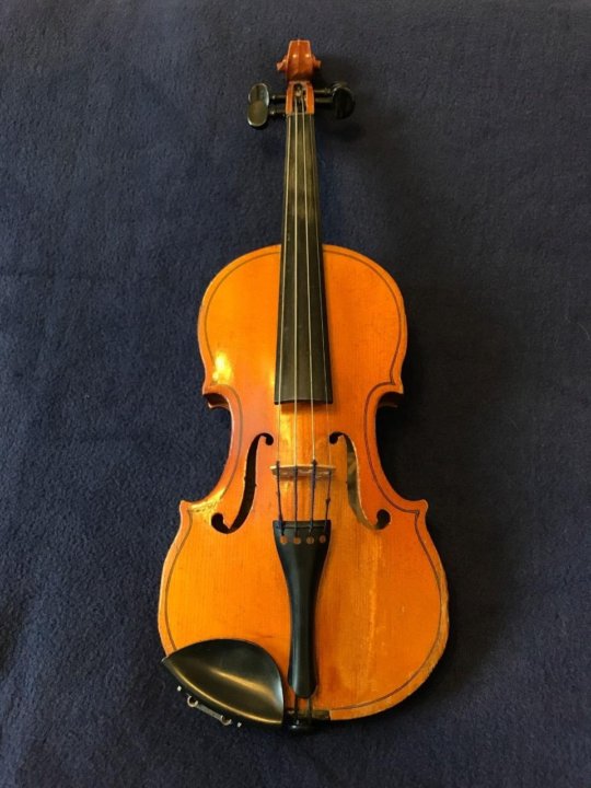 Омск скрипка