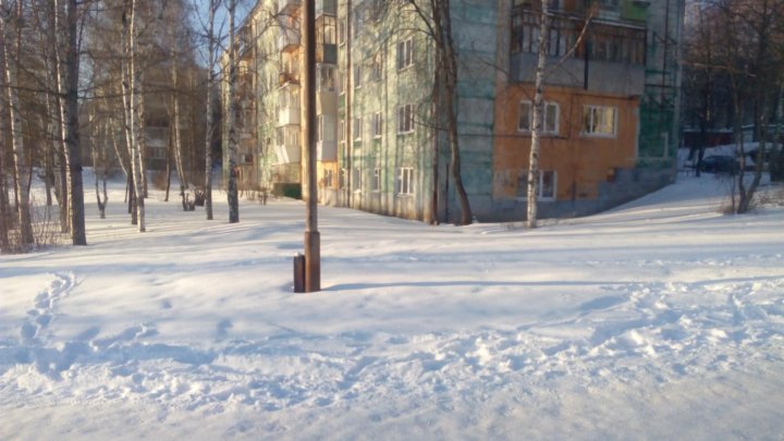 МОПО :: Проведена отчетно-выборная конференция ОППО ООО "ЛУКОЙЛ-ПЕРМЬ"