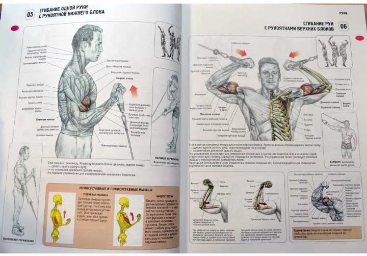 Книги про тренировки в тренажерном зале
