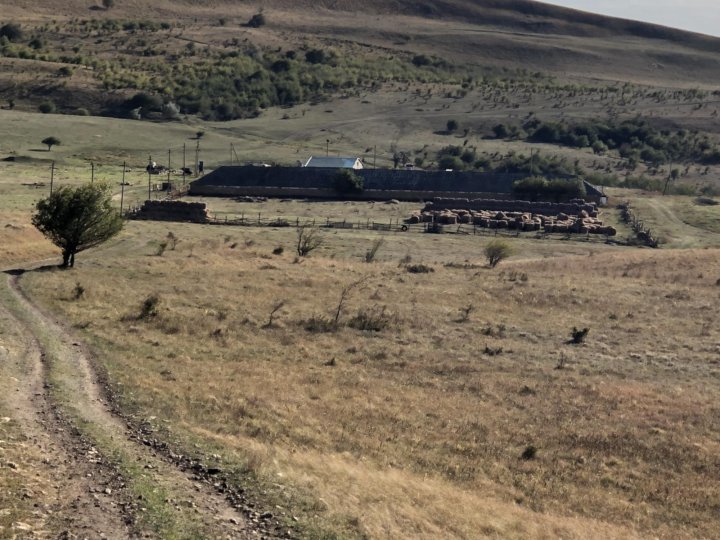 Кошара фото. 5 кошар. Ставропольский край скот. Кошара фото. Кошара здание.