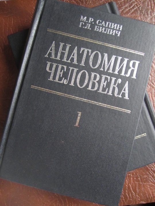 Анатомия сапина читать. Сапин Билич анатомия человека. Анатомия человека Сапин Билич 2 издание. Сапин Билич анатомия человека том 3. Анатомия человека Сапин Билич 1 том.