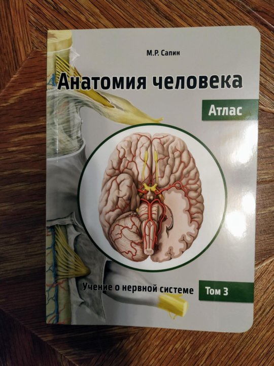 Анатомия сапин читать. Атлас анатомии человека Сапин 1 том. Анатомия атлас Сапин. Сапин анатомия человека в 3 томах. Сапин атлас анатомии человека том 3.