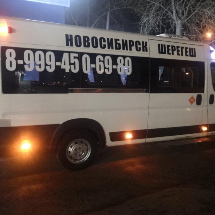 Новосибирск таштагол автобус. Трансфер в Шерегеш. Трансфер из Новокузнецка в Толмачево фото машин.