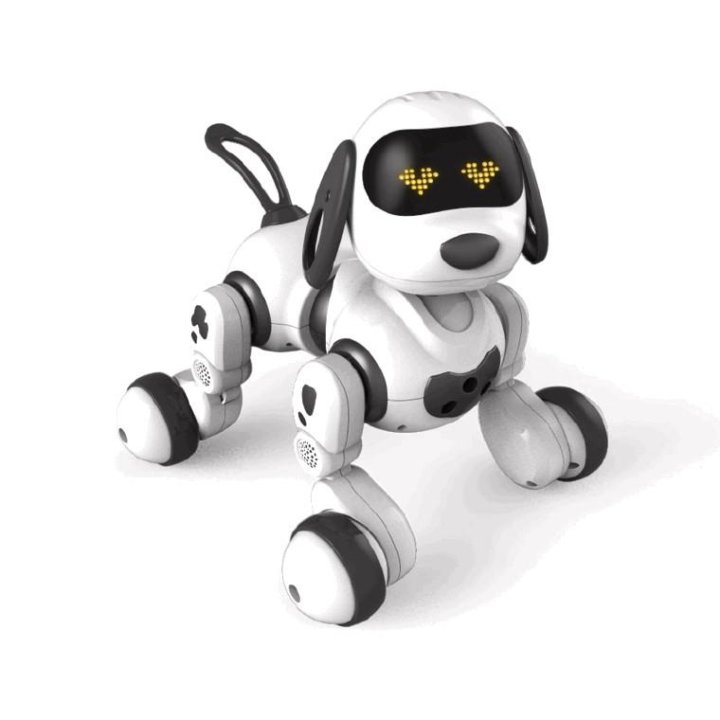 dexterity robot dog