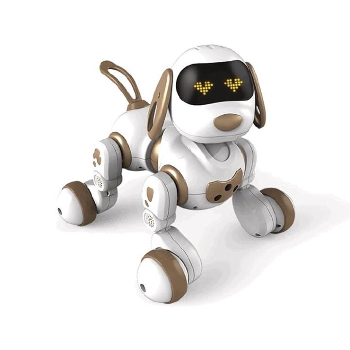 dexterity robot dog