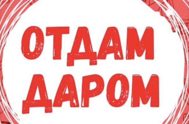 Всем Даром Красноярск Интернет Магазин Каталог