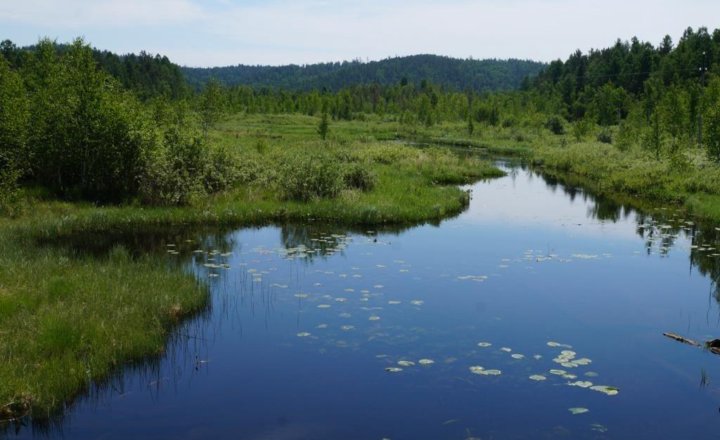 Раздолье усольский район фото