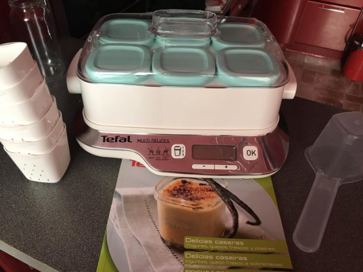 Рецепты десертов для йогуртницы tefal 3 в 1