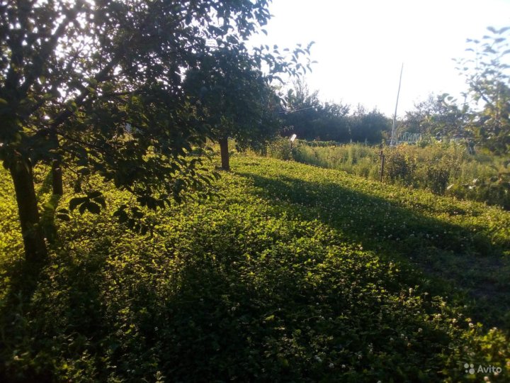 Дачная общество Лавсан Курске. СНТ цветово Курск.