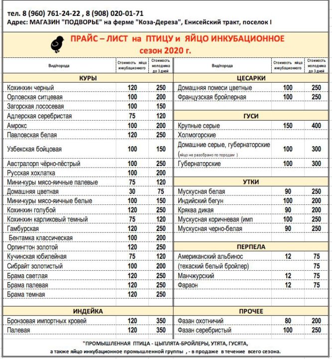 генофонд птицы сергиев посад. генофонд сергиев посад прайс-лист на цыплят 2022. генофонд сергиев посад официальный сайт прайс. прайс генофонда сергиев посад. прайс генофонда сергиев посад.