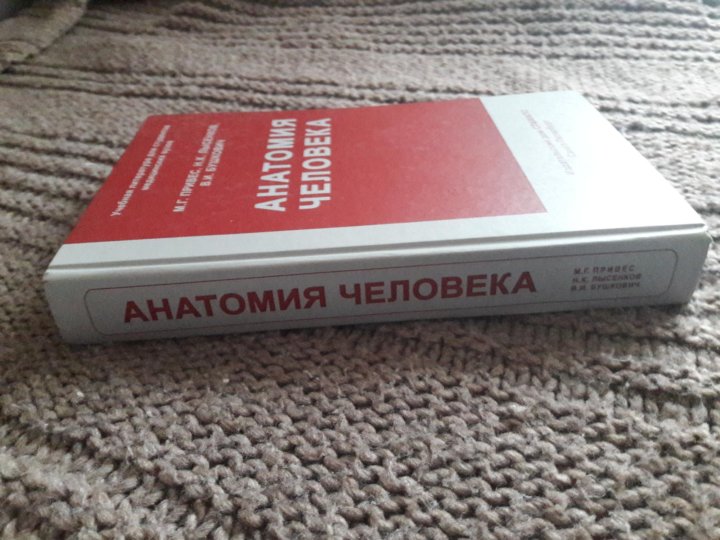 Привес анатомия. Легкие привес, Лысенков Бушкович 1974.