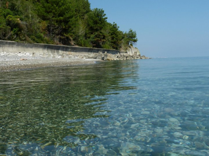 Какое море в абхазии название и фото