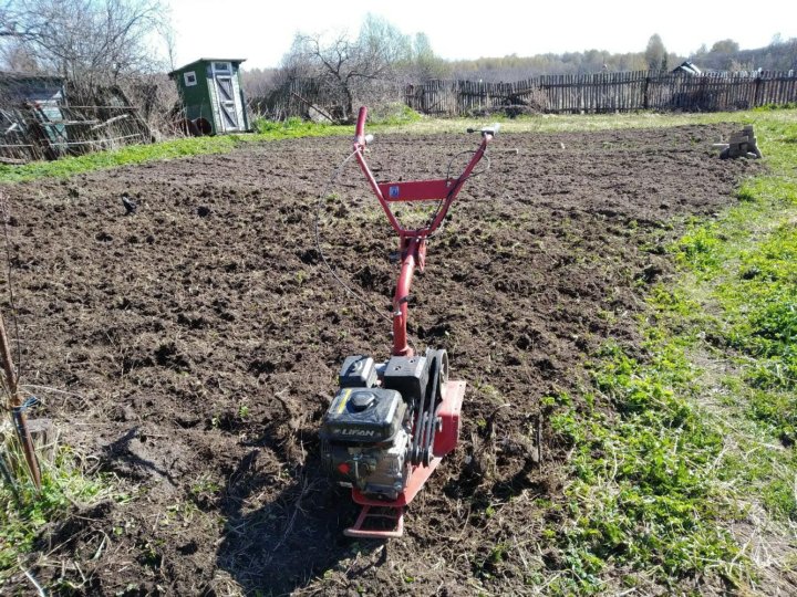 Вспашка Земли Мотоблоком Фото – Telegraph