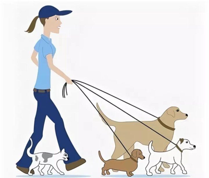 Преимущества догситтеров в заботе о питомцах