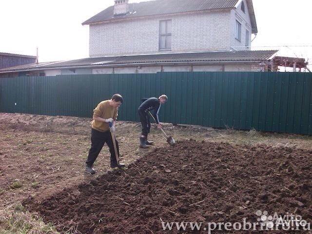 Вскопать огород. Сколько обходится огород. Сколько обходится огород. Метод грядок митлайдера. Грядки домики.