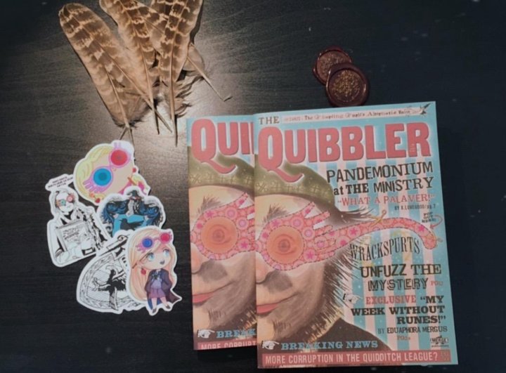 Журнал придира. Сканворды. Журнал придира. Кроссворды лёгкие с ответами. Журнал придира обложка.