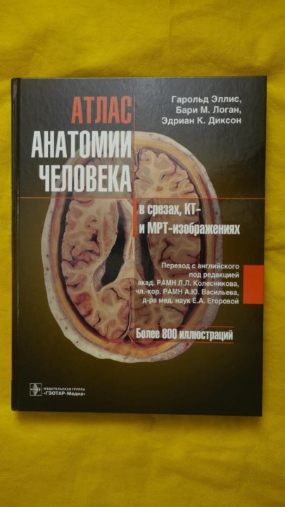 Гарольд эллис атлас анатомии человека в срезах кт и мрт изображениях