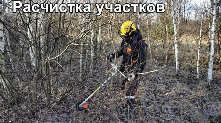 Покос травы спил деревьев картинки