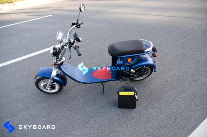 Скутер электрический Skyboard Trike Chopper 2000