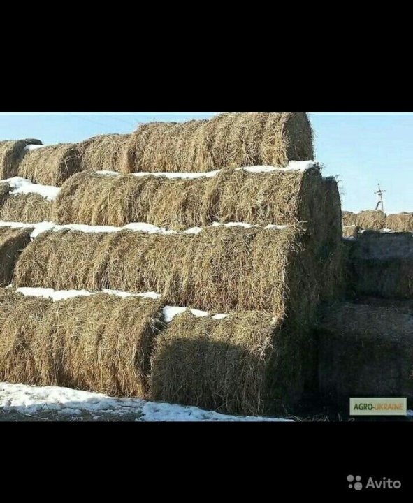 размер тюка сена 300 кг. сено луговое. объявления солома. сено в крыму. сено в тюках фото.