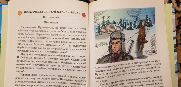 Случилось рассказ. Всякие истории случаются на свете рассказы читать. Книга всякие истории случаются на свете. Всякие истории случаются на свете читать онлайн рассказы.