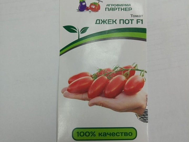 томат джекпот отзывы фото урожайность характеристика и отзывы