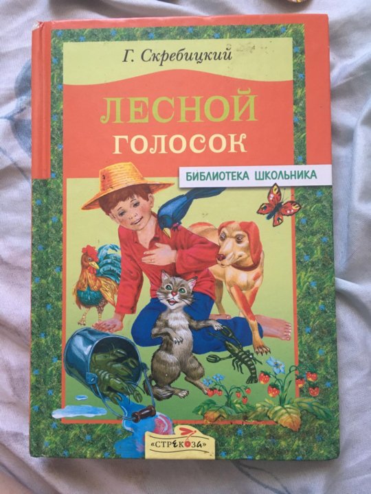 Лесной голосок