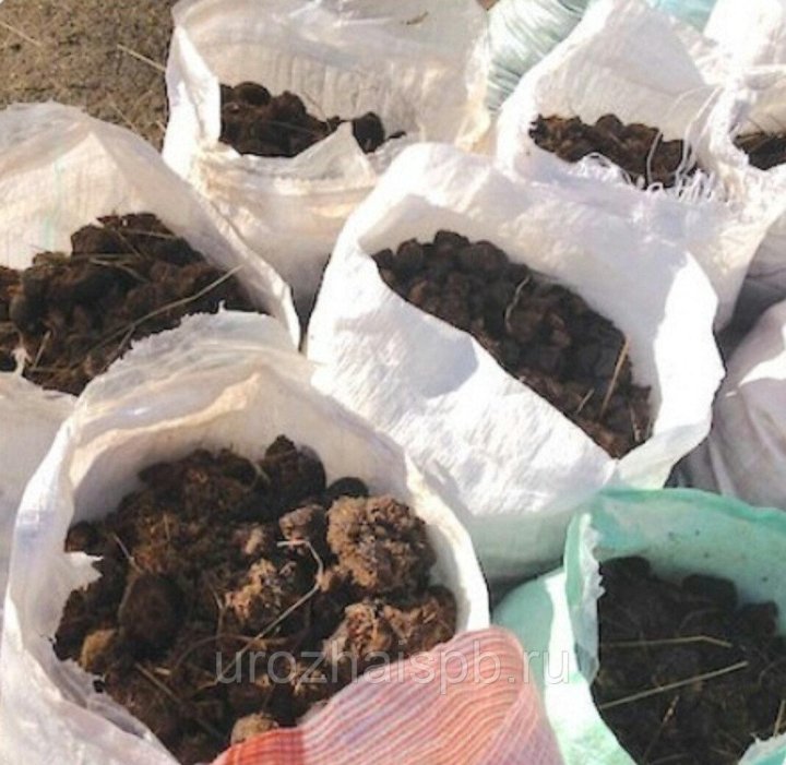 Конский навоз в мешках. Конский навоз. Конский навоз в мешках. Тачка для навоза. Конский навоз на авито.