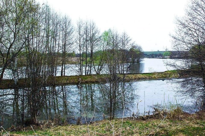 Погода в зименках