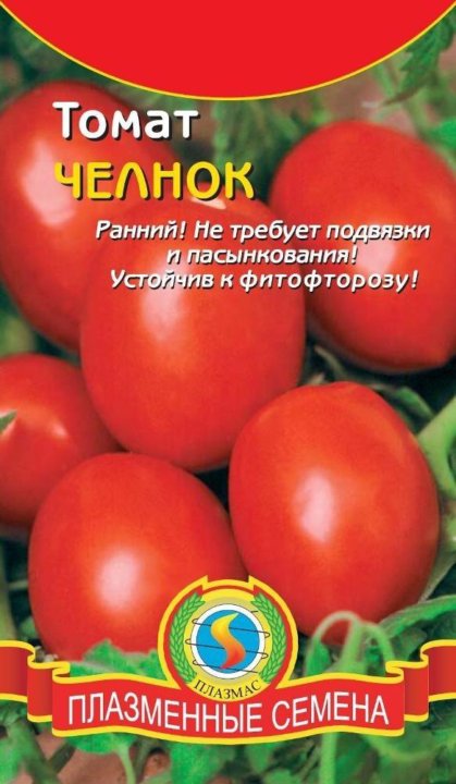 Томат челнок отзывы фото урожайность характеристика