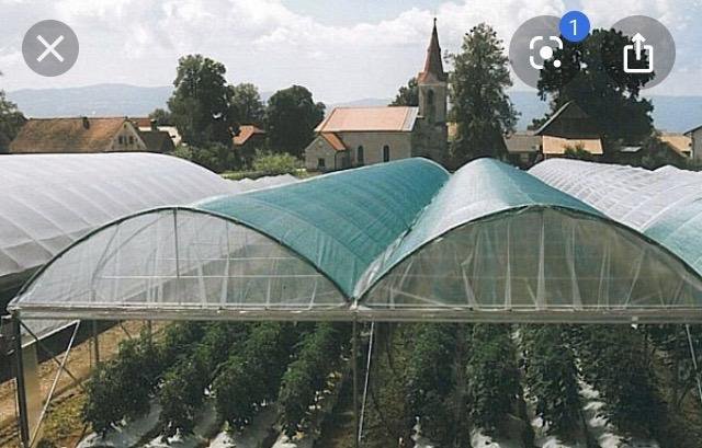 Теплица из агроволокна. Сетка на теплицу от солнца. Теплица из пленки. Затеняющая сетка для теплиц. Затенение теплицы укрывным материалом.