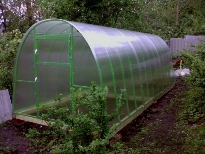 Теплица из поликарбоната в парголово. Теплица от тепличный выбор. Теплица из поликарбоната фазенда 4. Теплица пристенная оц65 п. Новоладожский завод теплиц в спб.