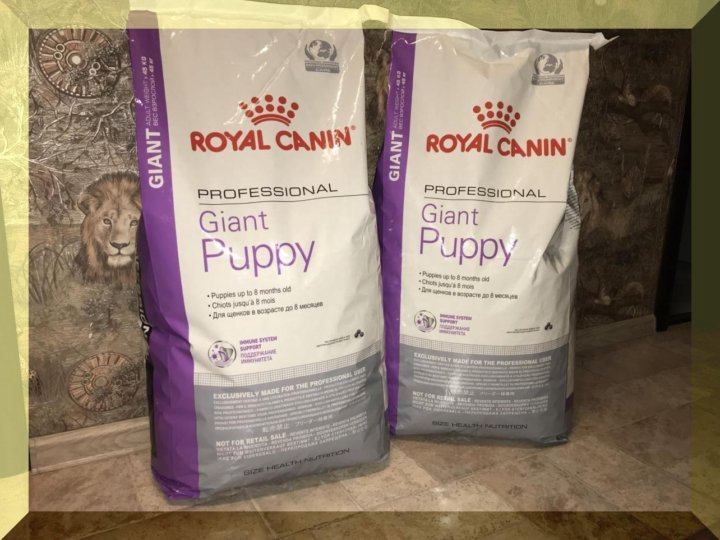 Royal canin puppy maxi схема кормления. Royal canin mother babycat сухой корм. Роял канин про. Роял канин фит 15 кг для кошек. Роял канин 4800 20 кг.