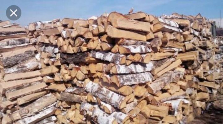 березовые дрова домодедово. березовые дрова домодедово. трухлявые дрова. обтесанная березовая древесина. дрова колотые гнилые.