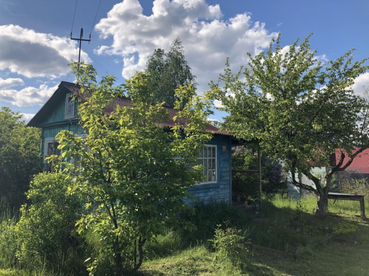 Пензенские пляжи