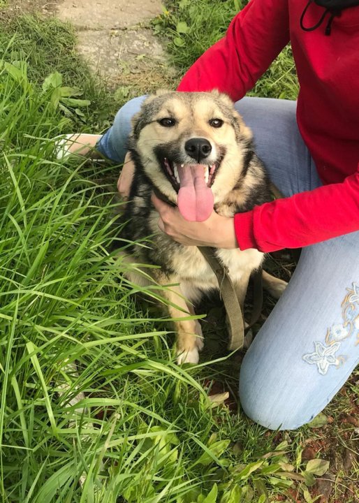 Милая Девчушка На Природе