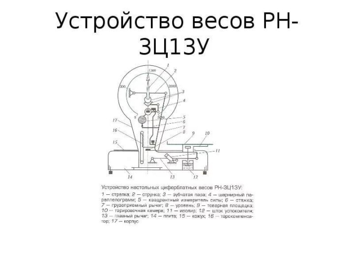 Схема товарных весов рп 100 цд 24