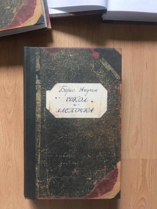 Акунин сокол ласточка слушать аудиокнигу. Акунин б. "Сокол и Ласточка". Акунин Сокол и Ласточка. Акунин Сокол и Ласточка обложка