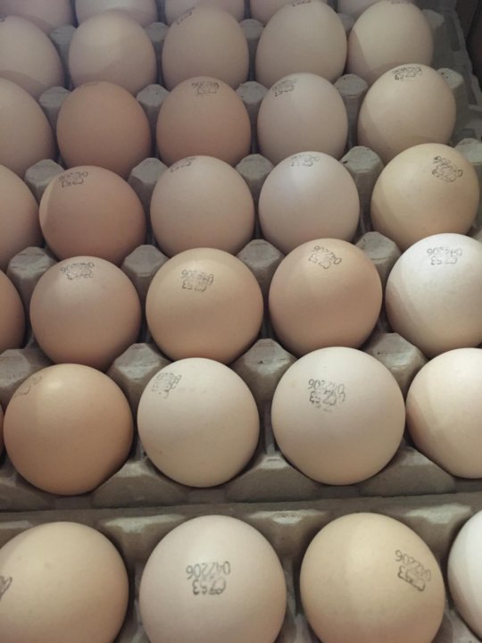 Авито яйцо бройлера. Инкубационное яйцо Росс 308. Авито Пензенская область инкубационное яйцо. Цвет яйца у Росс 308 с фото. Продажа инкубационного яйца на авито.