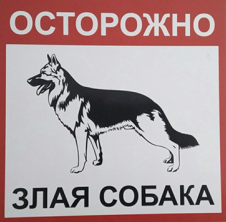 К чему воет собака во дворе. Осторожно во дворе собака. Табличка осторожно Динго. Во дворе собака табличка. Осторожно злой Гусь табличка.