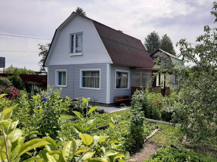 Дачи оби. СНСТ Ласточка новосибирски. Дача за 1000000 Павино лайнер. Купить дачу СНТ Ласточка 3 Садовая. Купить дачу в Обь Павино сады.