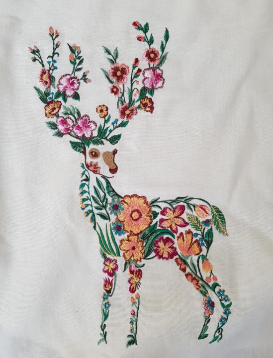 mashinnaya vyshivka dzhinsy polo