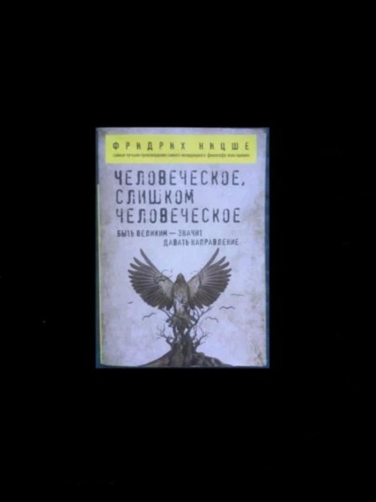 Книга ницше человеческое слишком человеческое. Человеческое, слишком человеческое книга. Ницше человеческое слишком человеческое. "Человеческое, слишком человеческое" и так говорил Заратустра. Ницше так говорил Заратустра к генеалогии морали купить.