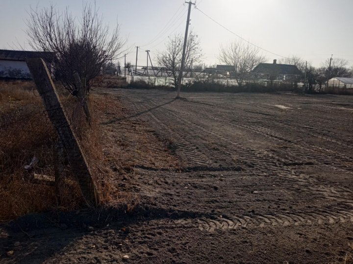 Погода в косточковке нижнегорский. Село Косточковка сады. Погода в Косточковке.